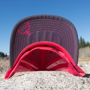 Neon Pink (Curved Bill)